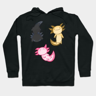 Cute colourful axolotls Hoodie